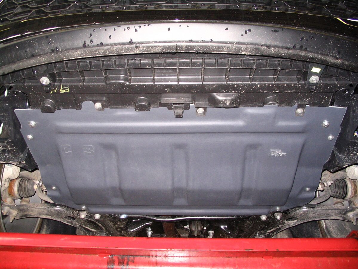 Citroen C3 II ( 2009 - 2013 ) motora aizsargs